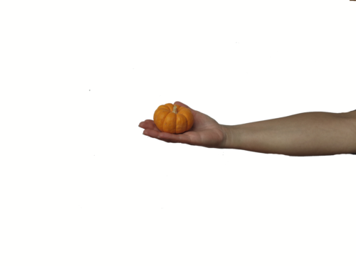 Calabaza